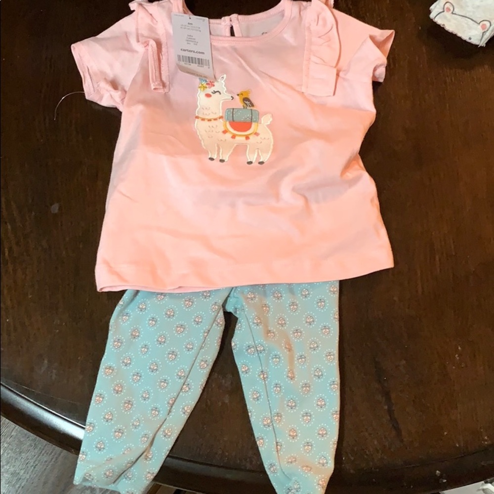 Llama Outfit